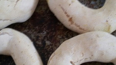 Biscoito de fubá de canjica