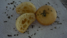 Pão de queijo com orégano