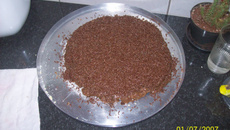 Torta de chocolate gelada