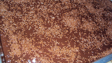 Bolo de chocolate molhado