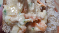 Patê de atum com cenoura ralada