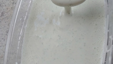 Maionese sem ovo da Gabi