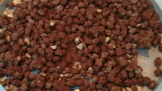 Cri Cri - ou amendoin praliné