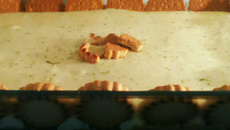 Doce tipo pave de limão