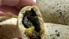 Pastel assado funcional