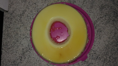 Pudim de leite condensado