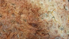 Torta de cachorro quente