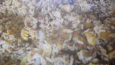 Arroz boliviano