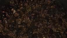 Chilli mexicano fácil