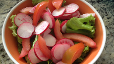 Salada de Rabanete