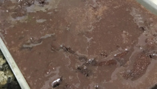 Bolo de chocolate rápido