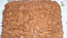 Bolo de aniversário da Regina (com raspas de chocolate)