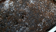 Bolo de chocolate rápido e muito fácil