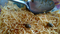 Fricassê de frango com creme de milho