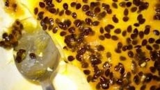 A mousse de maracujá