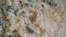 Macarrão com espinafre