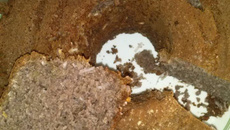 Bolo de açaí com coco ralado