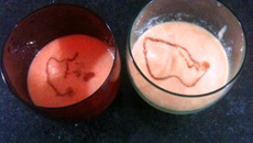 Creme de Papaia ao Leite de Coco e Licor Cassis