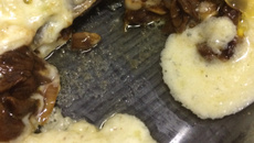 Lasanha com cogumelos e molho gorgonzola