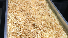 Fricassê de frango picante