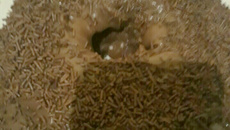 Bolo fofo de chocolate no liquidificador