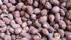 Cri-cri de micro-ondas da Li