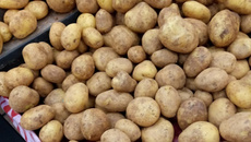 Sopa cremosa de batata