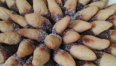 Monteiro Lopes barrigudinho