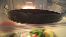 Chocolate prestígio