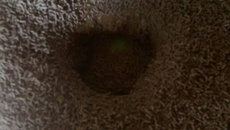 Brigadeirão de leite de coco