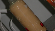 Bebida tipo Amarula caseira