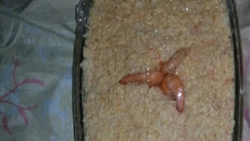 Arroz de Camarão