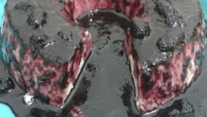 Manjar com calda de amora