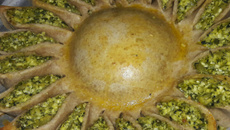 Torta girassol de ricota e espinafre