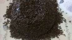 Brigadeirão  de micro-ondas gostoso da Tainá