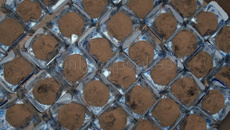 Brigadeiros Gourmet de Cereja