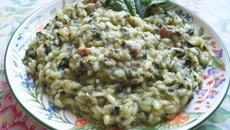 Risoto de espinafre