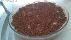 Torta de bolacha da Juce