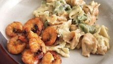 Tortellini tricolori com molho de ervas finas e camarões