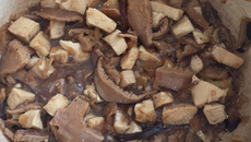 Frango ao molho de shiitake com gengibre