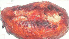 Cupim de panela de pressão assado