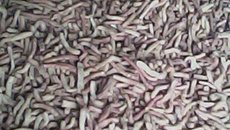 Aperitivo Pimentinha