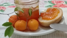 Geleia  de Uvaia da Vó Helena 