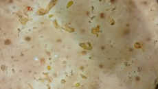 Massa prática para tortas de liquidificador