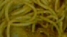 Macarrão com frango