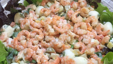 Salada de camarão rosa