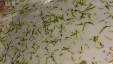 Torta de limão com apenas 10 reais