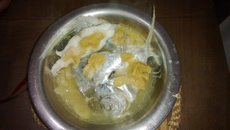 Peixe gordinho rapidinho