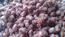 Amendoim doce do Eric