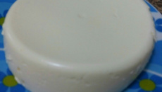Queijo Caseiro